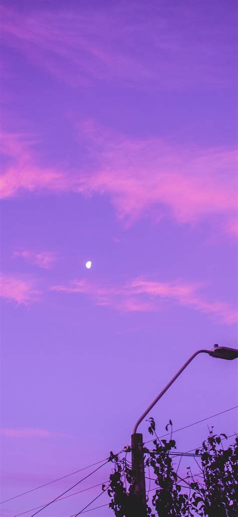 black street light under purple sky iPhone Wallpapers Free Download