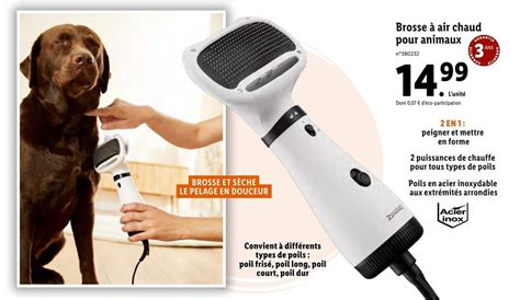 Promo Brosse A Air Chaud Pour Animaux Chez Lidl