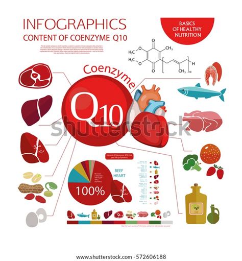 Schematic Representation Human Heartcolor Image On Stock Vector ...