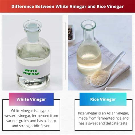 White Vinegar Vs Rice Vinegar Difference And Comparison