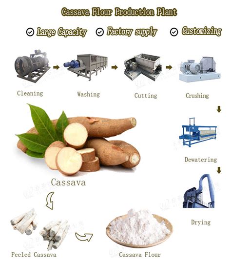 The Most Frequently Asked Questions About Starting Cassava Flour Processing Business In Nigeria Faq