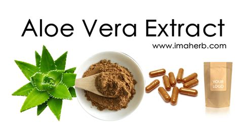 Aloe Vera Extract, Aloin, Aloinoside, Aloe Barbadensis Leaf Extract Powder