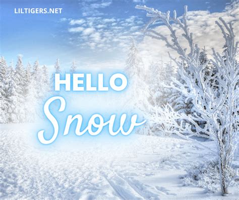 95 Best Snow Quotes and Sayings - Lil Tigers