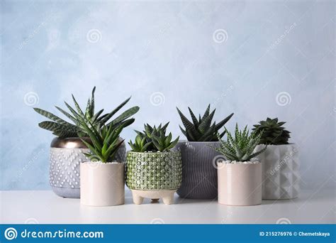 Diferentes Plantas De Casa En Macetas Sobre Mesa Blanca Foto De Archivo