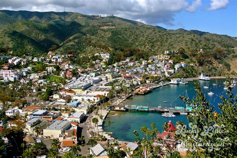 How to go to Catalina Island Completely for Free – DeziStyle