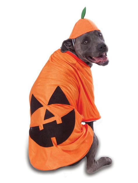 Big Dog - Pumpkin - Costume for Pets — Costume Super Center
