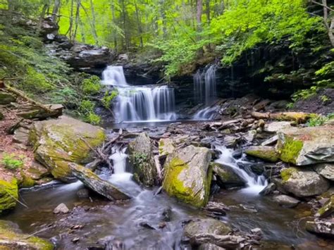 10 Best Trails and Hikes in Pennsylvania | AllTrails