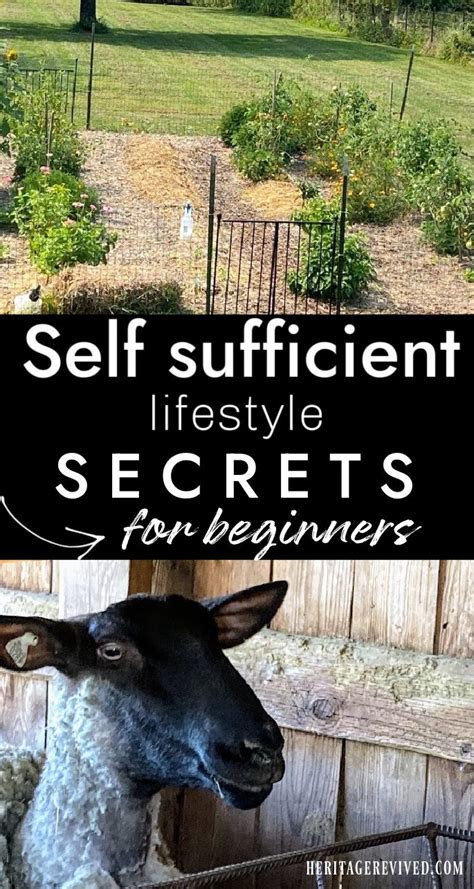 Self Sufficiency Becoming More Self Reliant One Step At A Time In