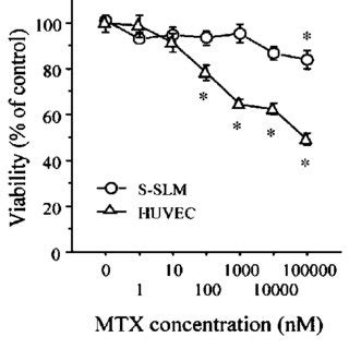 Effects Of Methotrexate On The Proliferation Of S Slm Osteosarcoma