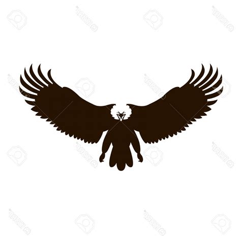 Eagle Front View Vector at Vectorified.com | Collection of Eagle Front ...