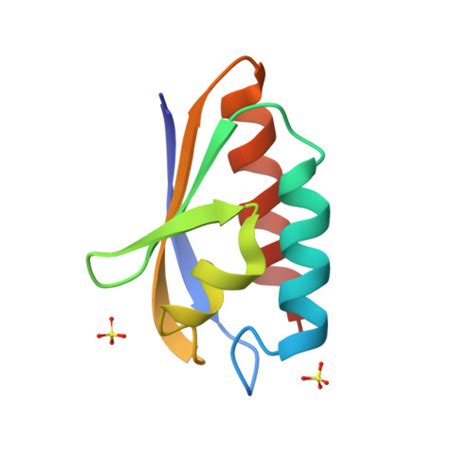 RCSB PDB 1POH THE 2 0 ANGSTROMS RESOLUTION STRUCTURE OF ESCHERICHIA