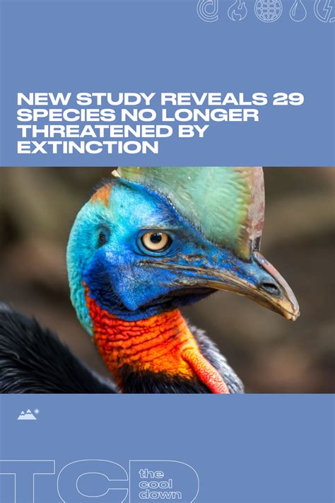 New study reveals 29 species no longer threatened by extinction in 2023 | Species, Endangered ...