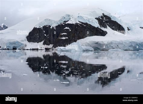 HALF MOON ISLAND, ANTARCTICA Stock Photo - Alamy