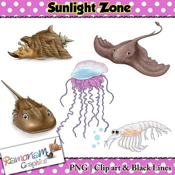 sunlight zone ocean animals clipart 10 free Cliparts | Download images on Clipground 2024