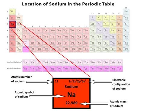 Sodium Bohr Model — Diagram Steps To Draw Techiescientist