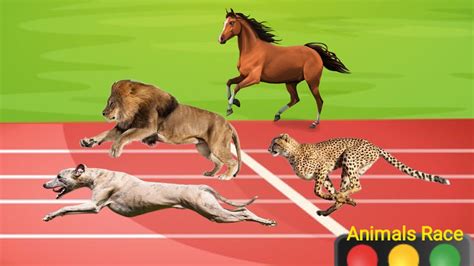 Animals Race Animal Race Cartoon Race Animals In Planet Zoo All