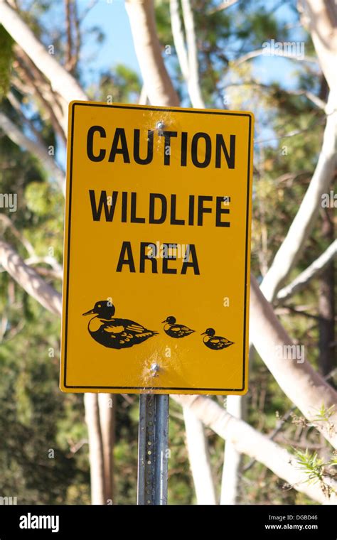 Wildlife caution sign hi-res stock photography and images - Alamy