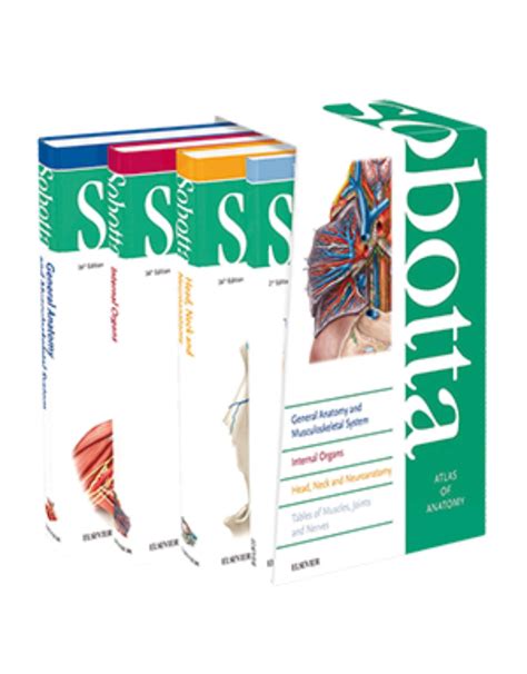 Sobotta Atlas Of Anatomy Package Th Edition Ebookshop Ro