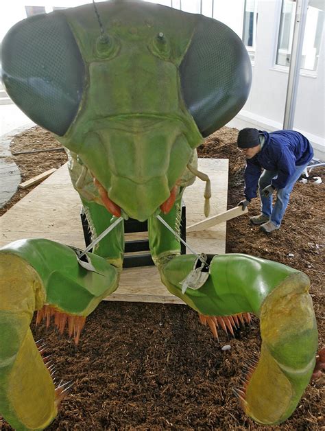 Video: Giant Insects exhibit arrives at Gulf Coast Exploreum | AL.com