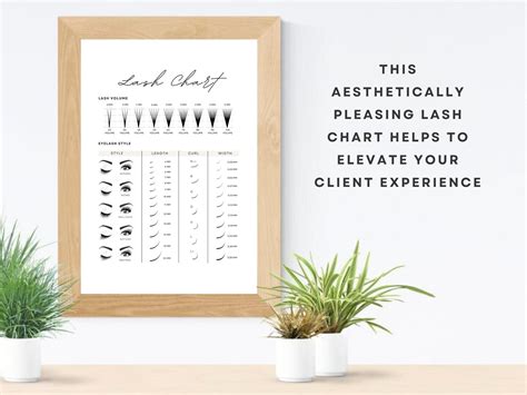 Printable Lash Chart Digital Eyelash Guide Eyelash Extension Etsy