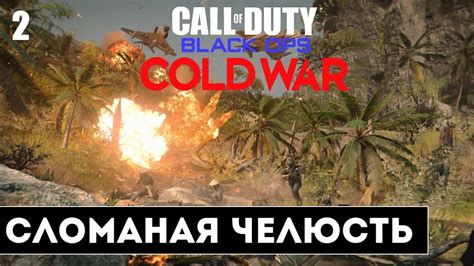 Call Of Duty Black Ops Cold War