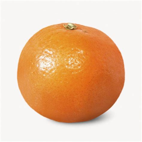 Mandarin orange, isolated fruit image | Free Photo - rawpixel