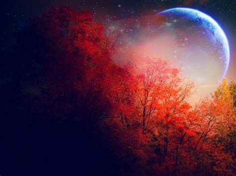 Moon Autumn Wallpapers - Wallpaper Cave