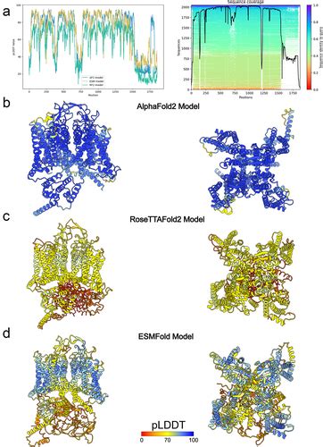 Full Article Structural Modeling Of Ion Channels Using AlphaFold2