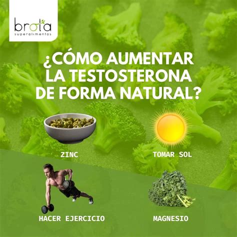 Descubre Cómo Subir Naturalmente Tus Niveles De Testosterona Brota Vida