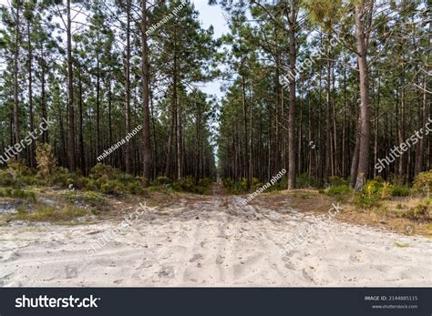 25,584 Sandy Trail Images, Stock Photos & Vectors | Shutterstock