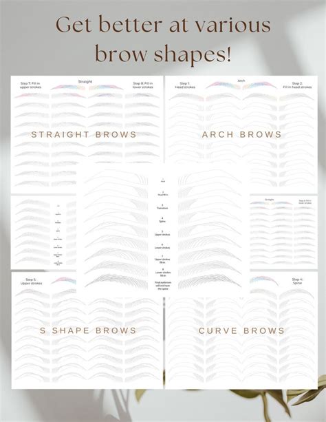 Straight Brows Arch Brows Brow Shaping Microblading Advance