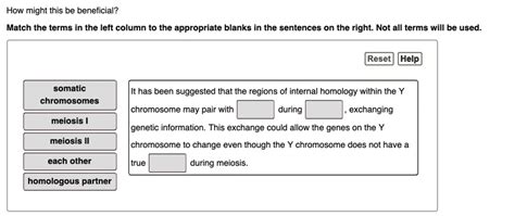 SOLVED How Might This Be Beneficial Match The Terms In The Left