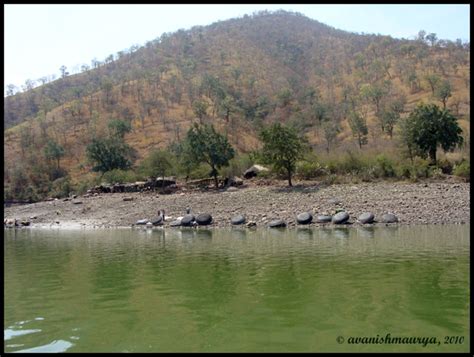 Srisailam and Akkamahadevi Caves Trip | Solo Backpacker