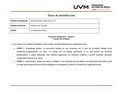 Act Proyecto Integrador Etapa Datos De Identificaci N Proyecto