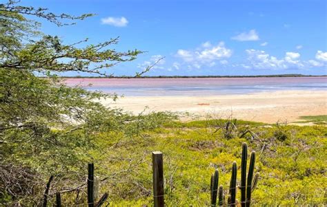 The Salt Flats Of Puerto Rico Cabo Rojo Las Salinas Brit On The Move™