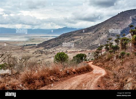 Road From The Rim Into The Ngorongoro Crater Ngorongoro Conservation