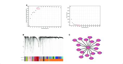 Wgcna Analysis A Soft Threshold Determination B Gene Clustering