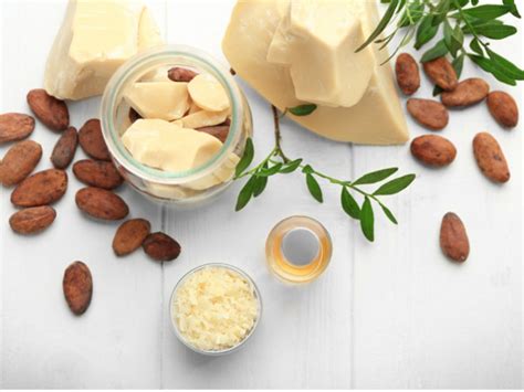 Surprising Cocoa Butter Benefits Organic Facts