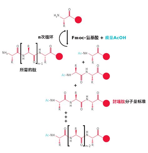 关于固相多肽合成这些雷你都避开了吗？附直播课程 搜狐大视野 搜狐新闻