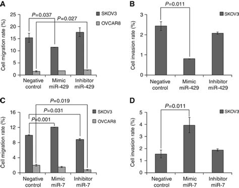 MiR 429 And MiR 7 Affect Cell Migration And Invasion Of SKOV3 And