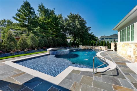 Naperville Il Freeform Swimming Pool With Hot Tub Large Sunshelf