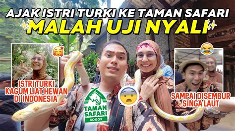 Ke Taman Safari Bareng Istri Turki Eh Malah Uji Nyali Youtube