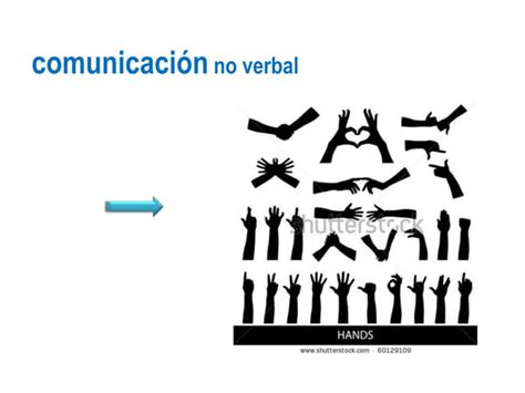 Conociendo El Concepto Bobath Ppt