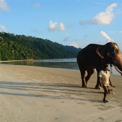 Elephant Beach | Andaman tour, Tour packages, Asia travel