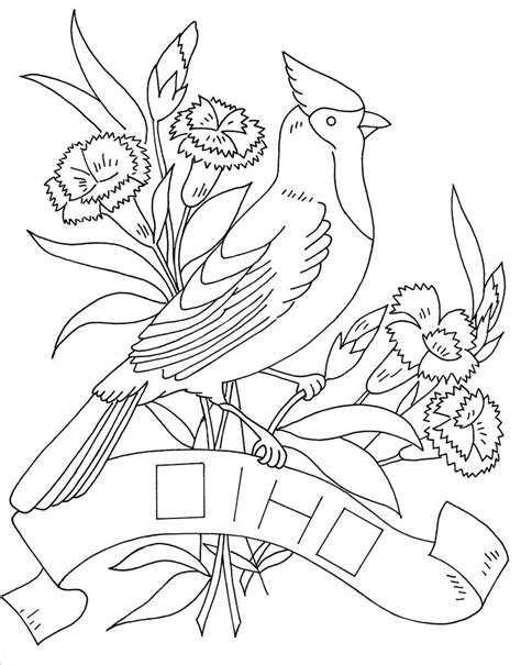 Ohio State Bird And Flower Bird Coloring Pages Ohio State Bird