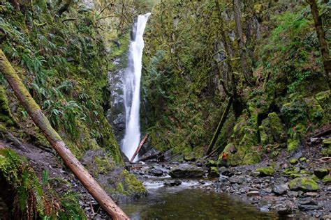 Camping On Vancouver Island: 20+ Best Campgrounds (+ Camping Tips) - In Love With BC