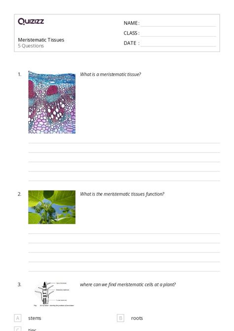 Tissues Worksheets For Th Year On Quizizz Free Printable