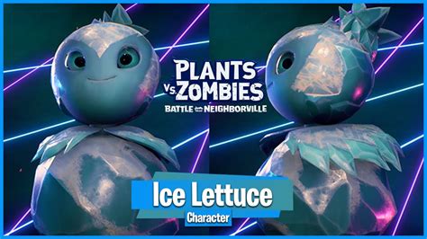 Iceberg Lettuce Pvz Bfn - SAM Vegetable