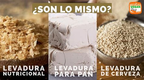 Diferencia Entre Levadura Y Levadura De Cerveza Lo Que Debes Saber