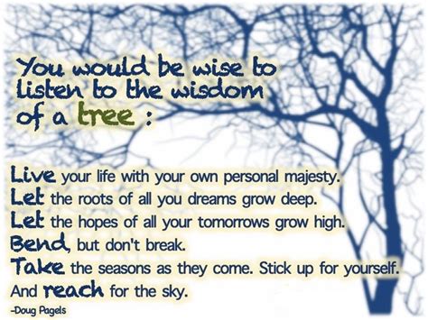 Tree Wisdom Quotes. QuotesGram